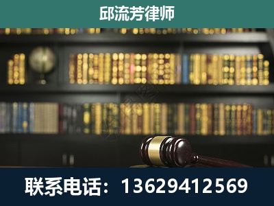 林芝-经济类案件